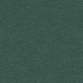 Background CI/Calumet 2,75x11m 12 Spruce Green