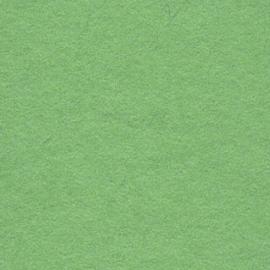 Background CI/Calumet 2,75x11m 63 Summer Green