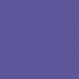Background Savage 2,72x11m 62 Purple