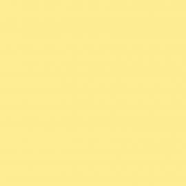 Background Colorama 2,72x11m 45 Lemon