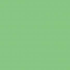 Background Colorama 2,72x11m 59 Summer Green