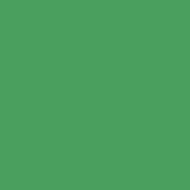 Background Colorama 2,72x11m 33 Chromagreen