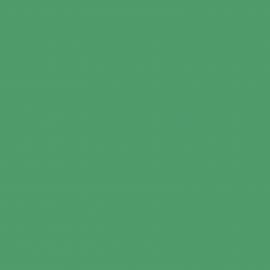Background Colorama 2,72x11m 64 Apple Green