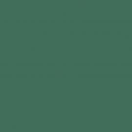 Background Colorama 2,72x11m 37 Spruce Green